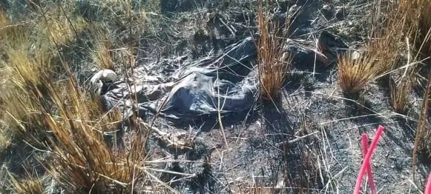 Two bodies bodies found in a forest outside Ratanda Village, South of Heidelbeg in Gauteng Province 
