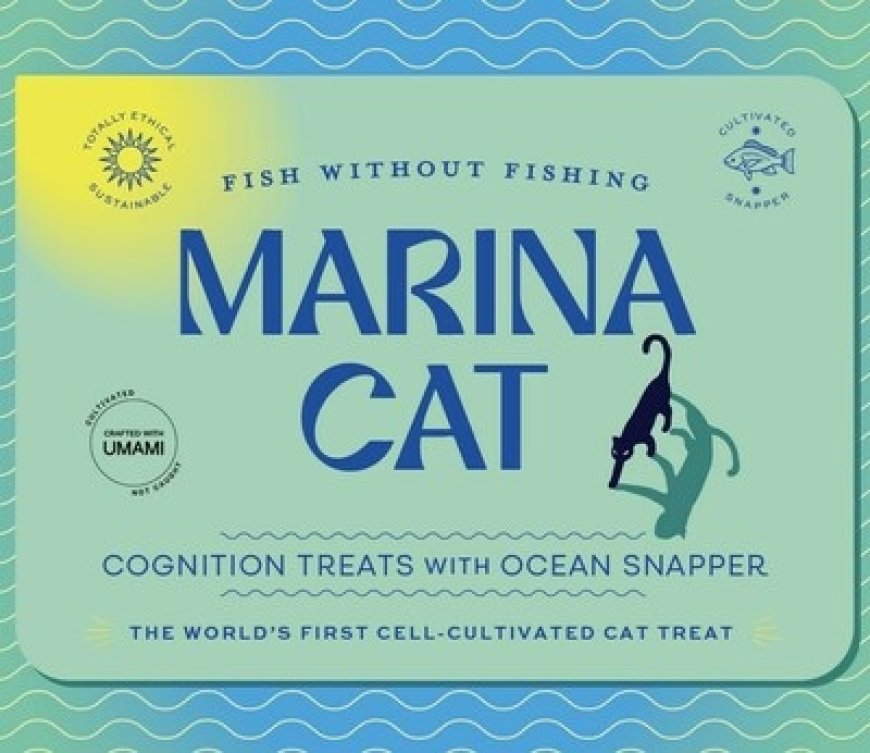 CULT Food Science and Umami Bioworks Reveal World's First Cat Treat with Cell-Cultivated Fish  