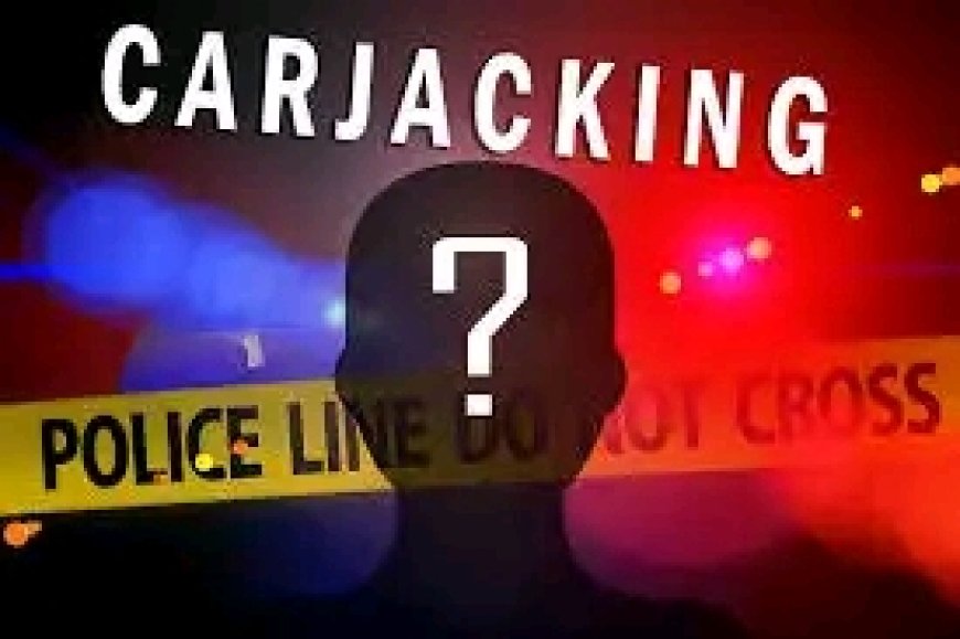 The police in Senwabarwana policing precinct have launched a manhunt for two unknown armed suspects involved in a carjacking incident that took place at Bochum Extension 5 yesterday at 20:30.