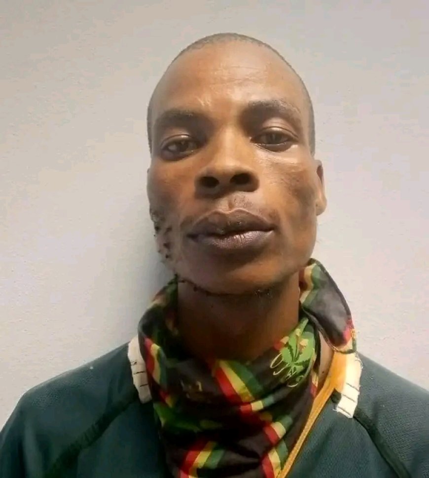 A 35-year-old man arrested for allegedly raping a 90-year-old woman in Limpopo 