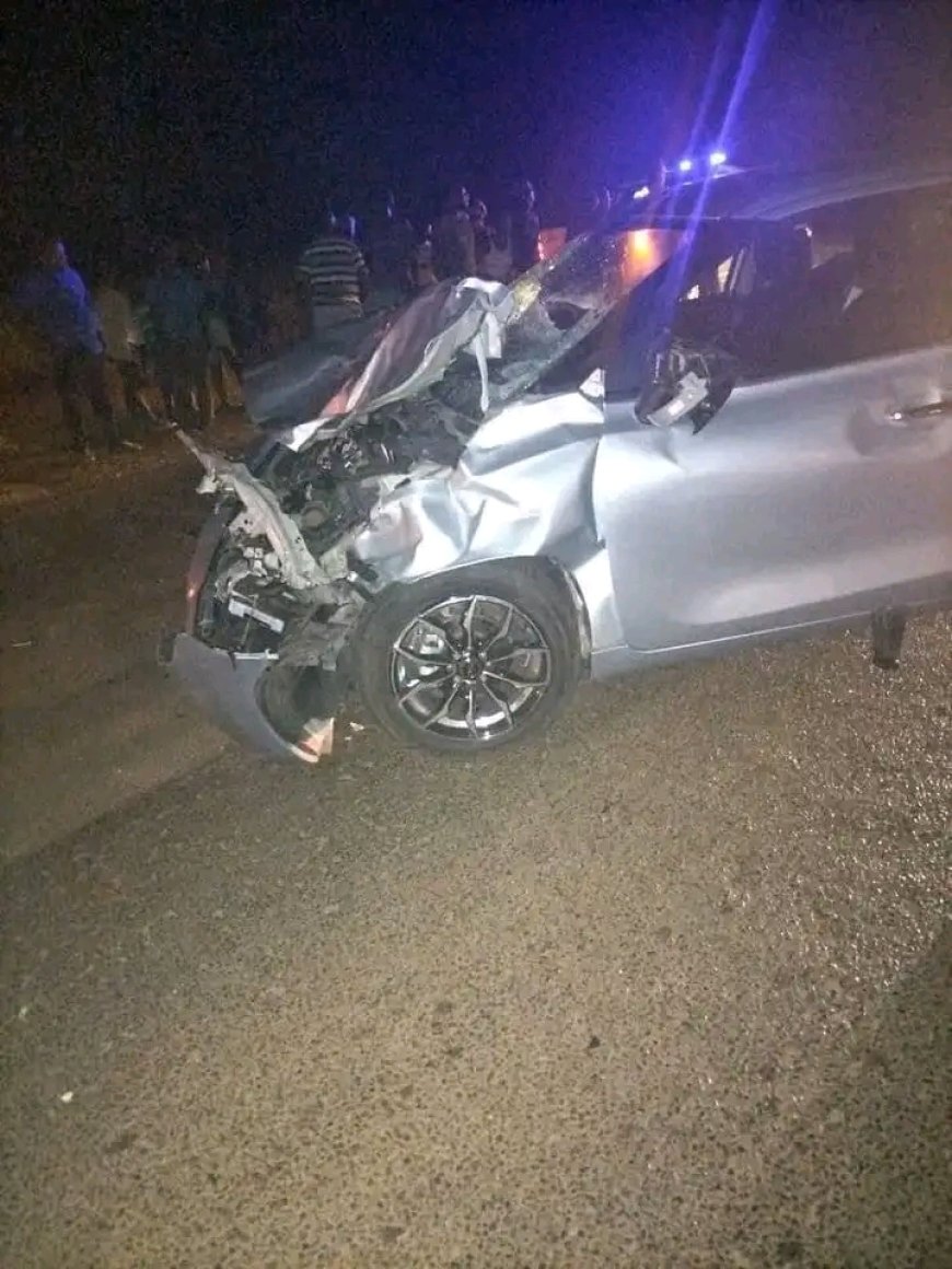 Two people were seriously injured after a car collided with a cow at Burgersdrop 