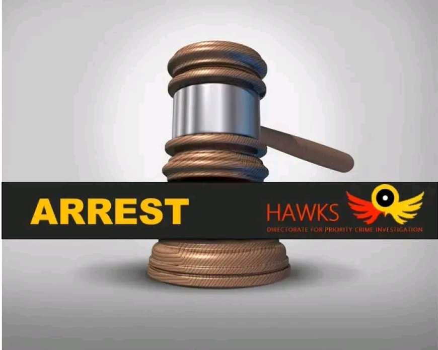 A 58-year-old, Malawian National John Gambi was arrested on Monday, 01 April 2024, at the Rand Easter Show in Nasrec for possession of fake US dollars has been remanded in custody by the Booysens Magistrate’s Court.